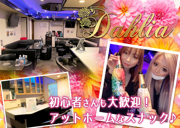 ポケパラ体入 Dahlia・ダリア - 関内・福富町のパブ/スナックスタッフ募集