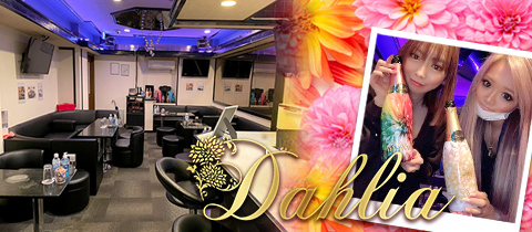 Dahlia・ダリア - 関内・福富町のパブ/スナック