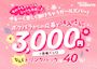 ピックアップニュース 💗女の子大募集👩🏻