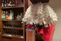 雅・ミヤビ - 池袋西口(北)のパブ/スナック 店舗写真