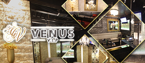 VENUS VIP・ヴィーナス ビップ - 小牧のキャバクラ