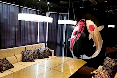 美人茶屋 上野・ビジンチャヤ - 御徒町・上野のキャバクラ 店舗写真