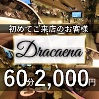 Dracaena - 赤坂の熟女キャバクラ