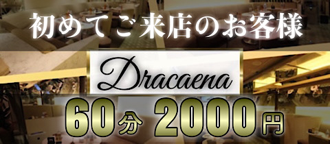 Dracaena・ドラセナ - 赤坂の熟女パブ/熟女キャバクラ