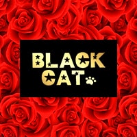 店舗写真 BLACK CAT・ブラックキャット - 蒲田西口のガールズバー