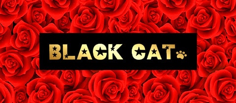 BLACK CAT・ブラックキャット - 蒲田西口のガールズバー