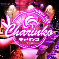 BUNNY BAR Charinko 奈良 - 奈良（新大宮）のガールズバー