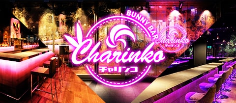 BUNNY BAR Charinko 奈良・バニーバーチャリンコ - 奈良（新大宮）のガールズバー