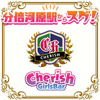 店舗写真 Girls Bar Cherish・チェリッシュ - 分倍河原のガールズバー