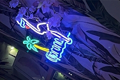 Tropical Paradise Bar Flamingo・フラミンゴ - 鹿児島県・天文館のガールズバー 店舗写真