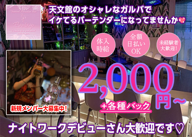 Tropical Paradise Bar Flamingo 職種：カウンターレディ