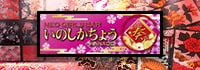 NEO GIRLS BAR 猪鹿蝶 奏