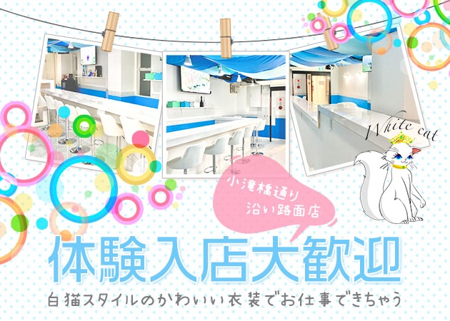 ポケパラ体入 White cat・ホワイトキャット - 西新宿のコンカフェ女性キャスト募集