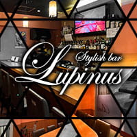 近くの店舗 Stylish bar Lupinus