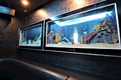 Siete・シェーテ - 豊田のガールズバー 店舗写真