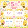 ピックアップニュース 今月のバースデーガールたち➰🎶🎂🎉💖⸝꙳.⋆