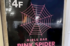 PINK SPIDER・ピンクスパイダー - つくばみらいのガールズバー 店舗写真