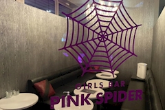 PINK SPIDER・ピンクスパイダー - つくばみらいのガールズバー 店舗写真