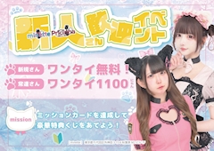 新にゃん歓迎イベント