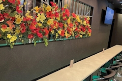 Queens Bar・クイーンズバー - 赤羽の朝・昼ガールズバー 店舗写真