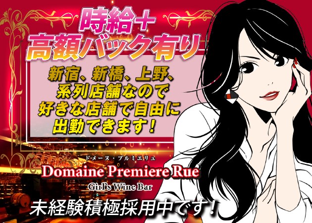 ポケパラ体入 Domaine Premiere Rue・ドメーヌプルミエリュ - 新宿のガールズバー女性キャスト募集