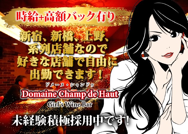 ポケパラ体入 Domaine Champ de Haut・ドメーヌ シャンドゥ - 上野のガールズバー女性キャスト募集
