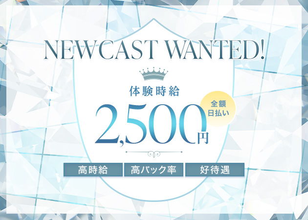 乙女坂42 職種:カウンターレディ
フロアレディ