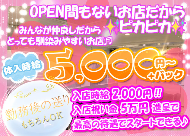 ポケパラ体入 Girl's Bar New Maxim・ガールズバーニューマキシム - 和光のガールズバースタッフ募集