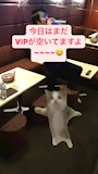 ピックアップニュース カラオケ歌いたい放題❤️