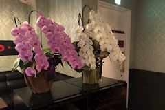 ICHIGO ICHIE・イチゴイチエ - 五反田のクラブ/ラウンジ 店舗写真