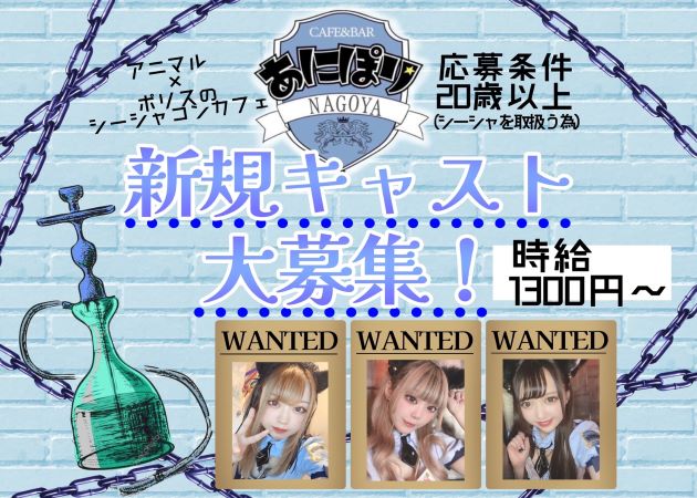 あにぽり名古屋 職種:カウンターレディ