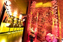 花宵・ハナヨイ - すすきのコンカフェ 店舗写真