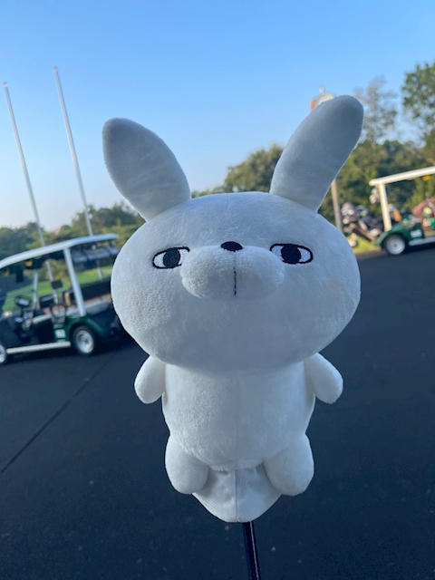 ピックアップニュース ⭐︎新人さん急増中⭐︎