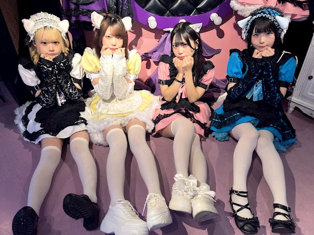 ピックアップニュース 本日より3日間💜たぬ生誕week💜ですにゃ🐱🎂