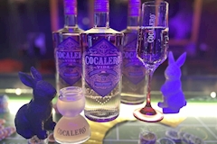 Girls Bar SENSATION・センセーション - 仙台駅西口のガールズバー 店舗写真