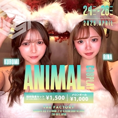 🐹ANIMAL COSPLAY🐱