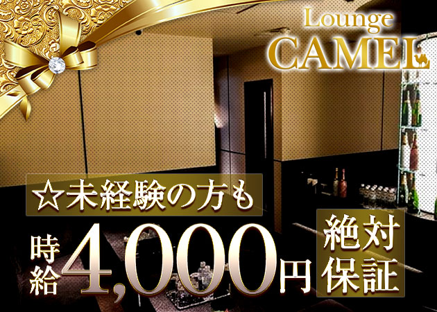 北新地ラウンジ/クラブ・Lounge CAMELの求人