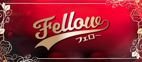 Fellow・フェロー - ミナミのガールズバー