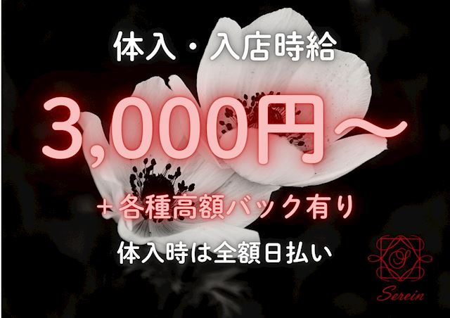 ピックアップニュース 黒崎で女の子からの支持を集める注目スナック🤗時給3,000円から