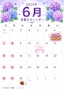 ピックアップニュース ６月営業日☂️