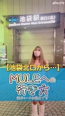 ピックアップニュース 💙MULEへの行き方💙