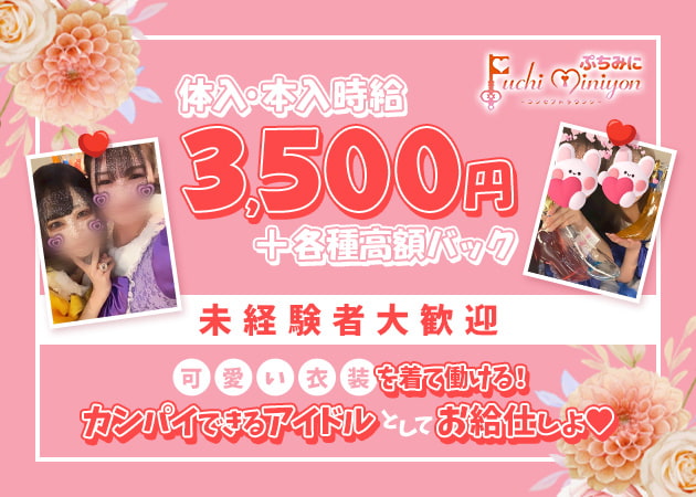 Puchi miniyon 職種：フロアレディ