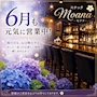 ピックアップニュース 6月も元気に営業中!雨の日こそ、ほっと一息つきませんか?