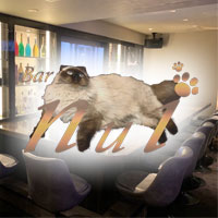 近くの店舗 Bar Nui