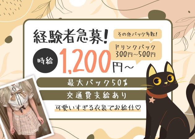 cafe&bar もふもふ 職種：カウンターレディ