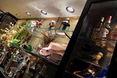 CATASTROPHE・カタストロフィ - 歌舞伎町のガールズバー 店舗写真
