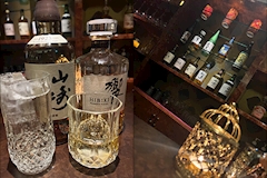 鹿児島/天文館/ガールズバー/エミリア 店舗写真