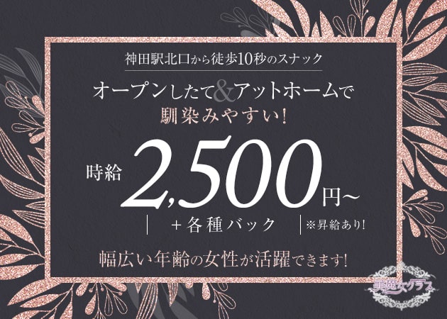 神田パブ/スナック・スナック美魔女クラブの求人