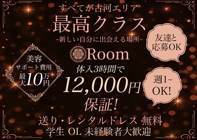 古河・東口パブ/スナック・Roomの求人