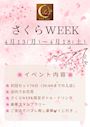 ピックアップニュース 【4/13～18】🌸さくらWEEK🌸